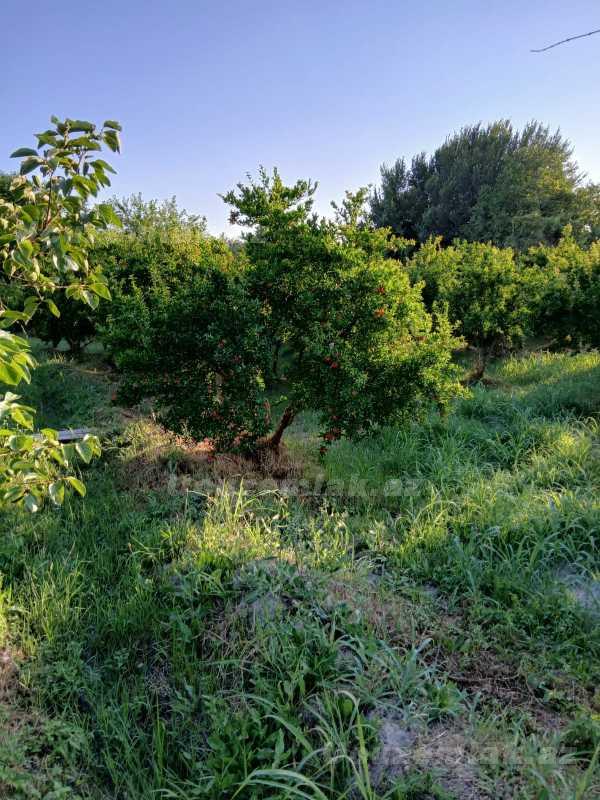 satilir-4-otaqli-bag-evi-sabirabad-kur-cayinin-sahili