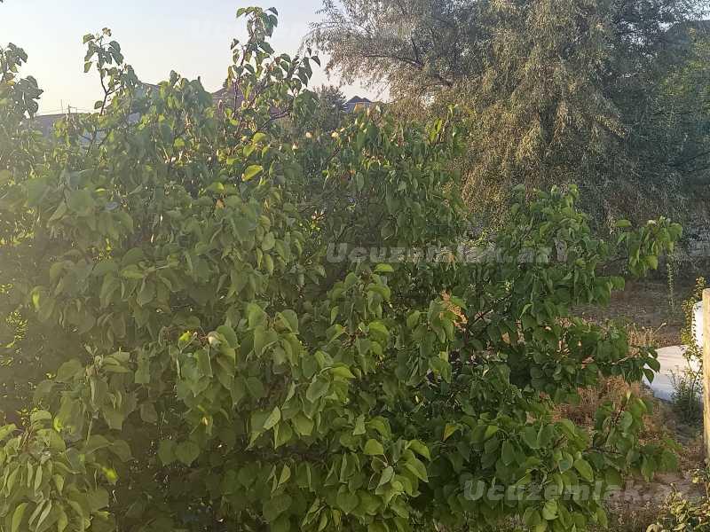satilir-7-otaqli-heyet-evi-villa-abseron-saray-1nomreli-mektebin-qabagi-ana-u