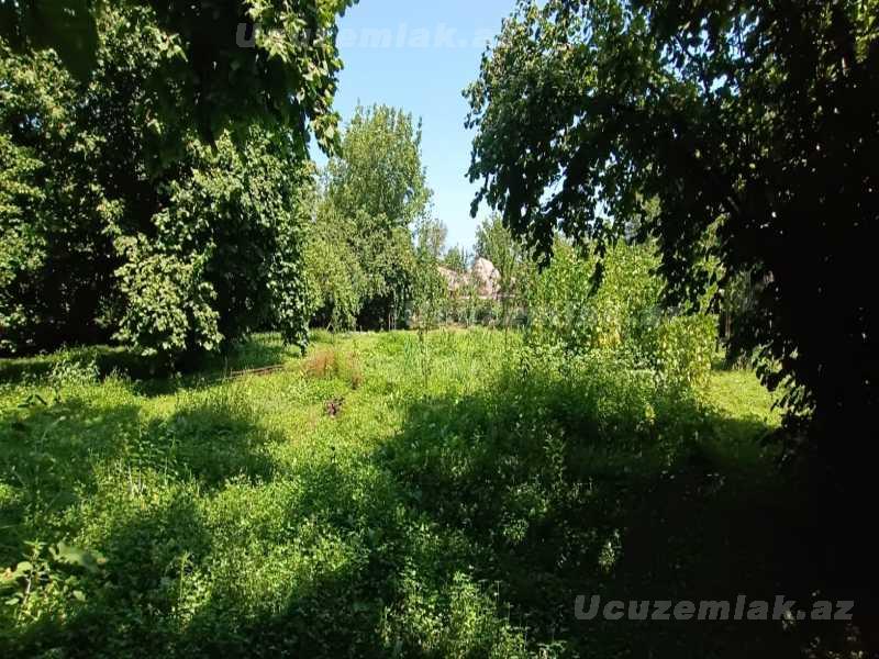 satilir-15-sot-torpaq-qebele-qebele-rayon-tuntul-kend