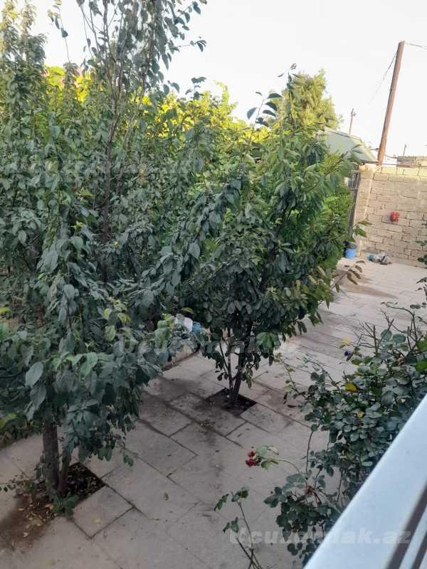 kiraye-ayliq-2-otaqli-heyet-evi-villa-baki-xetai-rayonu-hovsan-qesebesi-quwculuq-mas